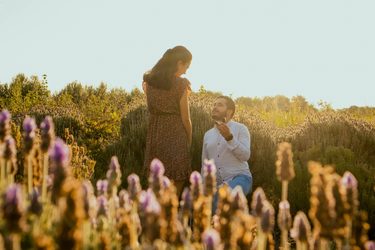 A man proposing to his bride-to-be in a sunny lavender field.