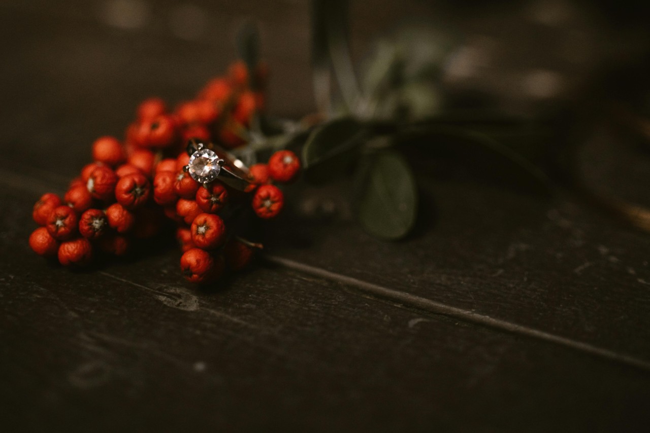 a diamond engagement ring sitting on a sprig of red berries