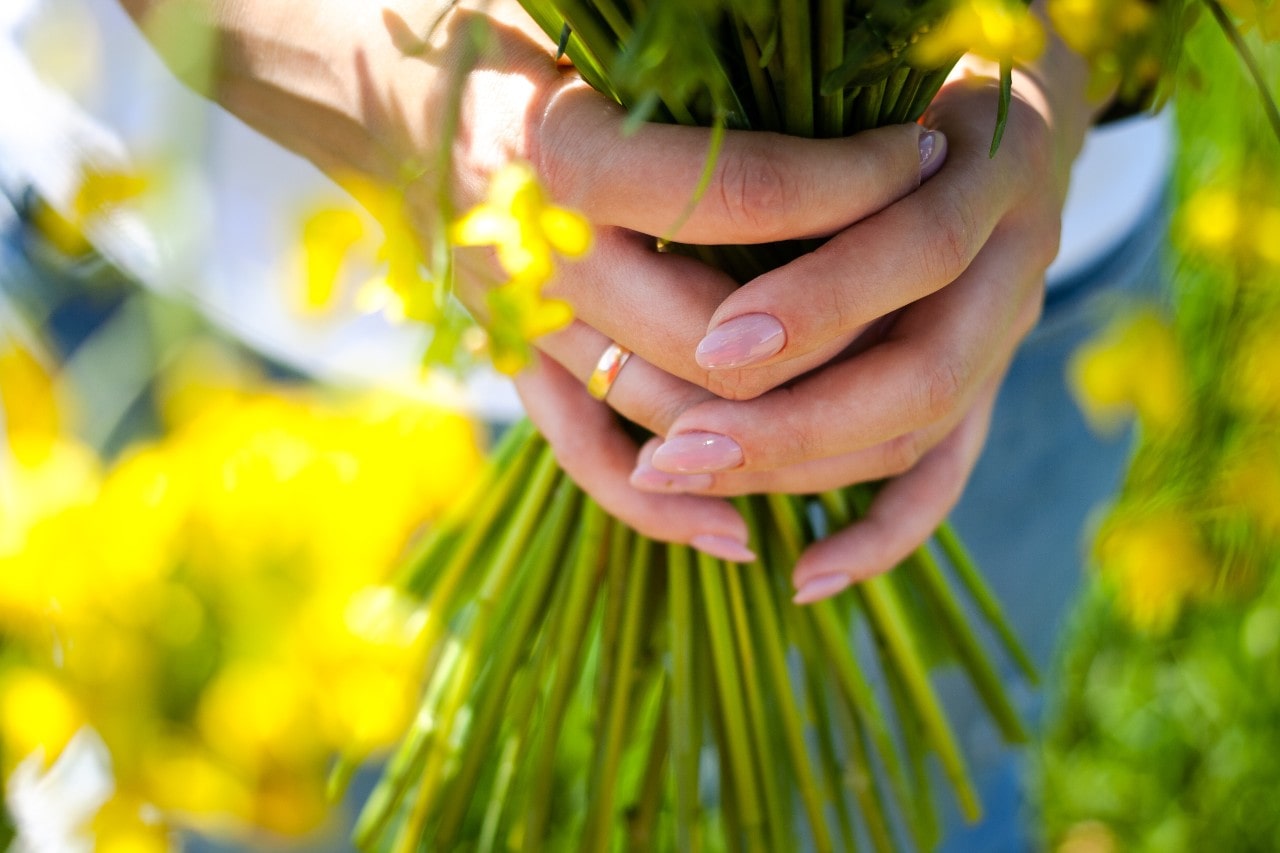 A close-up of a woman’s hands adorned with a simple gold band, holding a bouquet of flowers. A close-up of a woman’s hands adorned with a simple gold band, holding a bouquet of flowers.