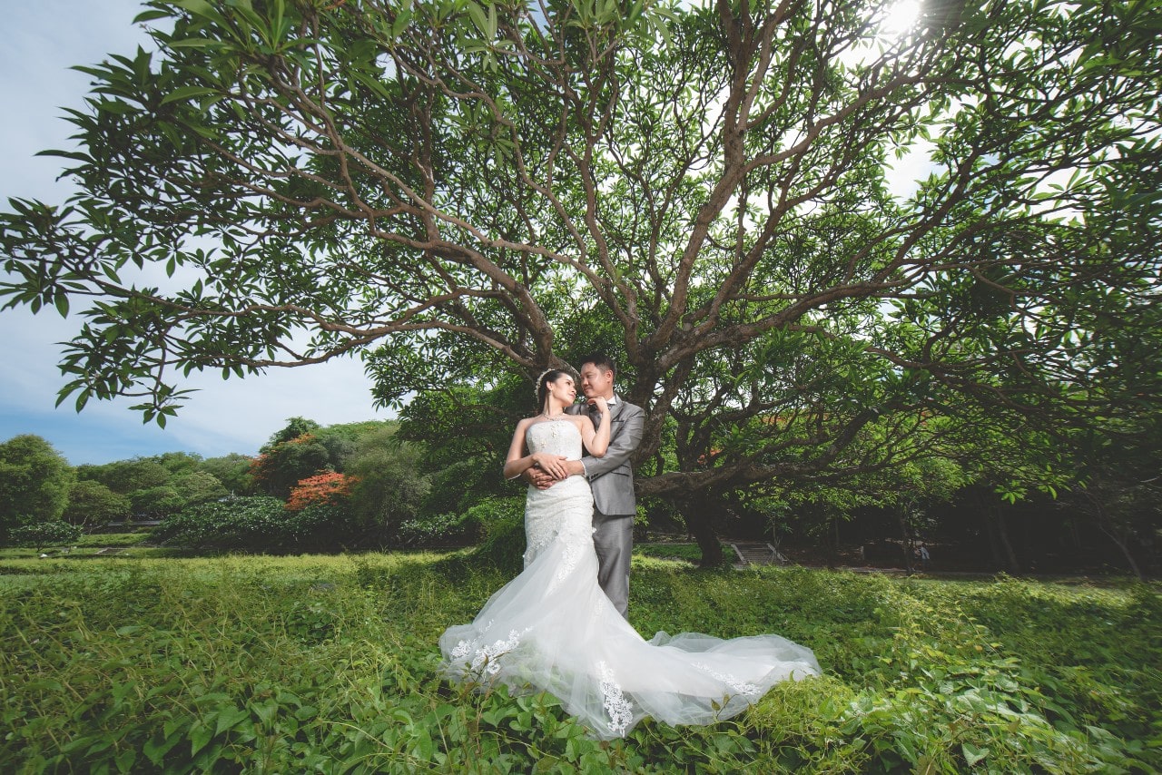A couple in their wedding attire looking longingly at each other, posed in front of a large tree and tons of nature surrounding them. A couple in their wedding attire looking longingly at each other, posed in front of a large tree and tons of nature surrounding them.