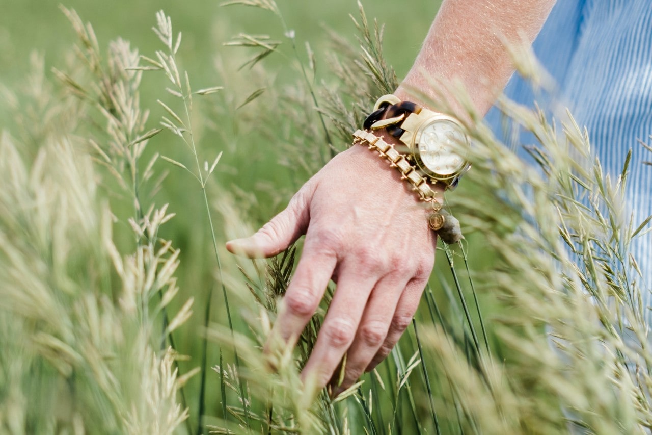 A close-up of a man’s arm, adorned with a gold watch and bracelet, passing over grass in a field. A close-up of a man’s arm, adorned with a gold watch and bracelet, passing over grass in a field.